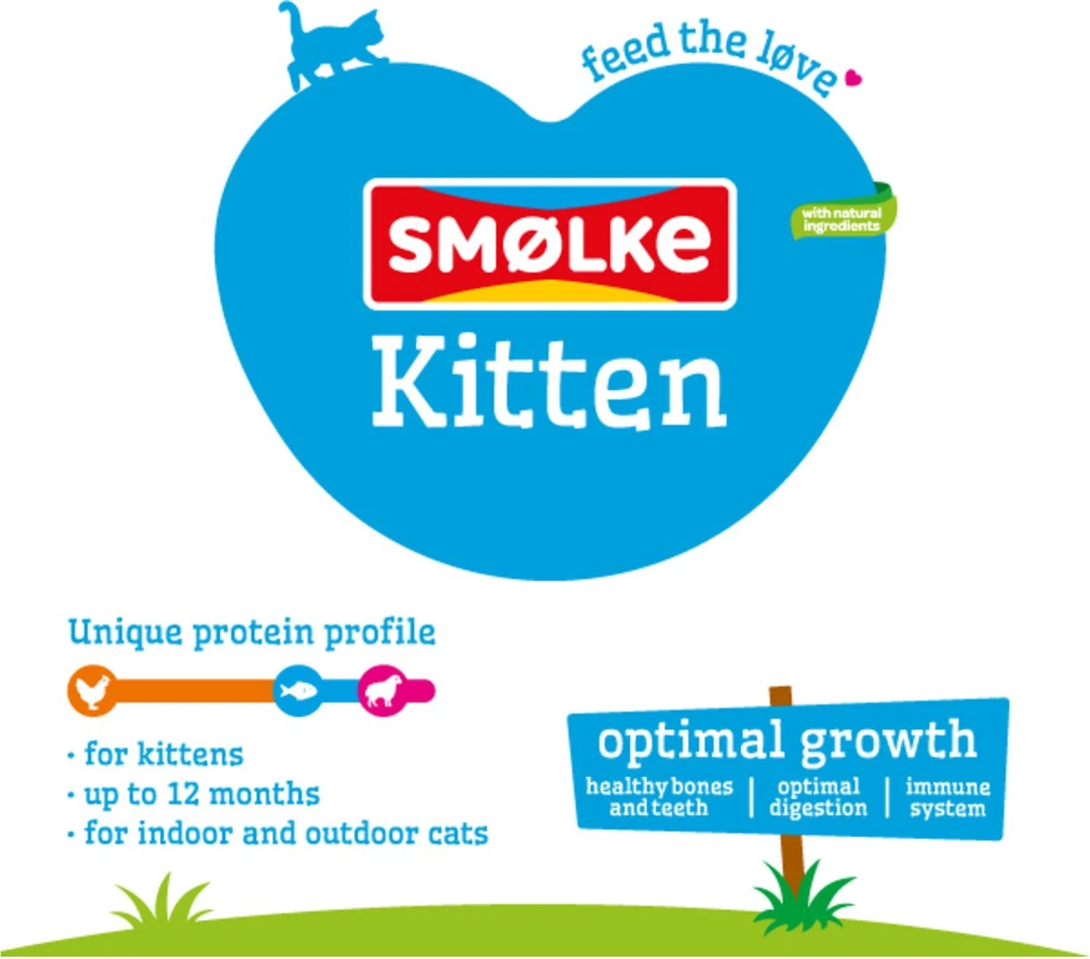 Smolke Kitten 4 Kg - Kat 16 Smolke Kitten 4 Kg - Kat - Afbeelding 14