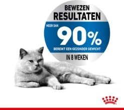 Royal Canin Light Weight Care - 1.5 Kg -Kattenbenodigdheden Winkel 1200x1064 1