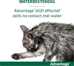Bayer Advantage 40 Tegen Vlooien - <4kg - 4 X 0,4 Ml - Adult -Kattenbenodigdheden Winkel 1200x1069
