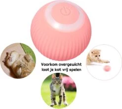 Otiume Slimme Katten Speeltje - Interactieve Zelf Rollende Bal Voor Katten - Kattenspeeltjes - USB Oplaadbaar- Turquoise -Kattenbenodigdheden Winkel 1200x1072