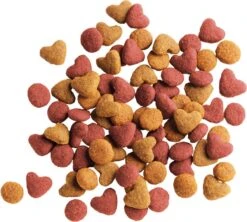 Lara Kitten (2 KG) -Kattenbenodigdheden Winkel 1200x1080