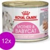 Royal Canin Wet Mother & Babycat Mousse - Kattenvoer - 195 Gr -Kattenbenodigdheden Winkel 1200x1081 5
