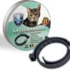 Natuurlijke Vlooienband - Katten - Zwart - Zonder Pesticiden Of Gif - Vlooien En Teken - Kattenbandje - Eco Friendly -Kattenbenodigdheden Winkel 1200x1096 1
