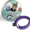 Natuurlijke Vlooienband - Katten - Paars - Zonder Giftige Pesticiden - 100% Natuurlijk - Vlooien En Teken - Milieuvriendelijk - Geur Halsband 1 Natuurlijke Vlooienband - Katten - Paars - Zonder Giftige Pesticiden - 100% Natuurlijk - Vlooien En Teken - Milieuvriendelijk - Geur Halsband -Kattenbenodigdheden Winkel 1200x1096