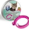 100% Biologische Vlooienband - Katten - Roze - Zonder Fipronil, Flumetrine, Imidaclorid Of Diazinon - Vlooien En Teken - Milieuvriendelijk - Kattenbandje 1 100% Biologische Vlooienband - Katten - Roze - Zonder Fipronil, Flumetrine, Imidaclorid Of Diazinon - Vlooien En Teken - Milieuvriendelijk - Kattenbandje -Kattenbenodigdheden Winkel 1200x1096 6