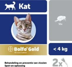 Kattenbenodigdheden Winkel 16 Kattenbenodigdheden Winkel -Kattenbenodigdheden Winkel 1200x1116 1
