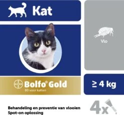 Bayer Bolfo Gold 80 Anti Vlooienmiddel - Kat - > 4 Kg - 4 Pipetten -Kattenbenodigdheden Winkel 1200x1116 3