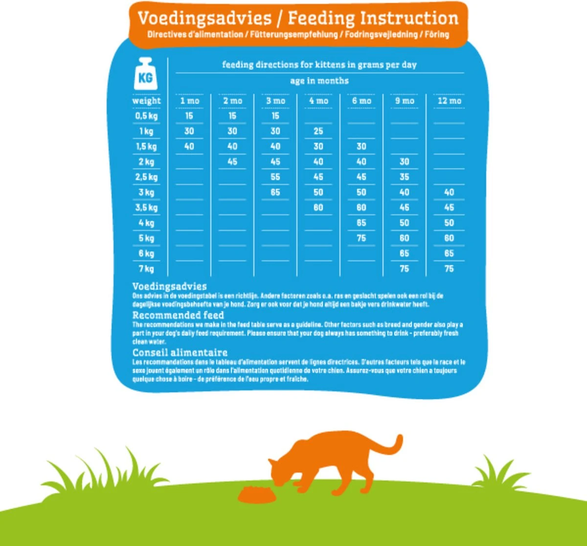 Smolke Kitten 4 Kg - Kat 8 Smolke Kitten 4 Kg - Kat - Afbeelding 6