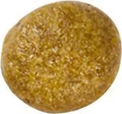 Royal Canin Kat Renal2 Kg 29 Royal Canin Kat Renal2 Kg -Kattenbenodigdheden Winkel 1200x1122 3