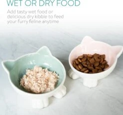 Navaris Voerbakjes Voor Katten - Set Van 2 Voer- En Waterbakken - Etensbak Van Keramiek - Met Antislip Voetjes - Kattenvorm - Roze/Groen -Kattenbenodigdheden Winkel 1200x1128 1