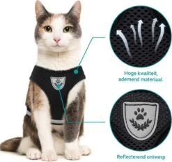 Merkloos Kattentuigje Met Looplijn | Zwart Kattenharnas | Easy Step In | Kattenriem | Kattenlijn | Kattentuig | Maat S -Kattenbenodigdheden Winkel 1200x1131 4