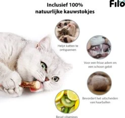 Filo Kattenspeelgoed Set 30 Stuks - Kattenspeeltje Kattentunnel - Kattenhengel - Kattenveertjes - Vis Met Kattenkruid - Kattenspeeltjes Intelligentie Kitten - Interactief Speelgoed Katten - Poezen Speeltjes -Kattenbenodigdheden Winkel 1200x1133 4