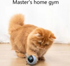 Otiume Interactieve Speelbal - Slimme Interactieve Jaag Speeltje Voor Katten - Kattenspeeltjes - Intelligente Jaagbal - AI -USB Oplaadbaar - LED - Blauw 13 Otiume Interactieve Speelbal - Slimme Interactieve Jaag Speeltje Voor Katten - Kattenspeeltjes - Intelligente Jaagbal - AI -USB Oplaadbaar - LED - Blauw -Kattenbenodigdheden Winkel 1200x1137 2