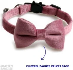 Kattenhalsband Velvet Met Strik | Halsband Kat | Kattenband Velours | Kattenbandje Velvet Met Strik, Veiligheidssluiting En Belletje In Roze 11 Kattenhalsband Velvet Met Strik | Halsband Kat | Kattenband Velours | Kattenbandje Velvet Met Strik, Veiligheidssluiting En Belletje In Roze -Kattenbenodigdheden Winkel 1200x1141 3