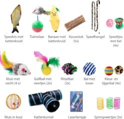 Filo Kattenspeelgoed Set 30 Stuks - Kattenspeeltje Kattentunnel - Kattenhengel - Kattenveertjes - Vis Met Kattenkruid - Kattenspeeltjes Intelligentie Kitten - Interactief Speelgoed Katten - Poezen Speeltjes -Kattenbenodigdheden Winkel 1200x1145 3