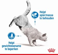 Royal Canin Light Weight Care - 1.5 Kg -Kattenbenodigdheden Winkel 1200x1146 2