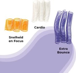 Pettadore Springs - Kattenveertjes - Kattenspeelgoed - Kattenspeeltjes - 9 Stuks -Kattenbenodigdheden Winkel 1200x1147 1