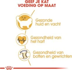 Royal Canin Ragdoll Adult - Kattenvoer - 2 Kg -Kattenbenodigdheden Winkel 1200x1157 11