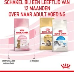 Royal Canin Kitten Sterilised - Kattenvoer - 3,5 Kg -Kattenbenodigdheden Winkel 1200x1159 12