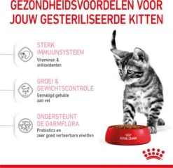 Royal Canin Kitten Sterilised - Kattenvoer - 3,5 Kg -Kattenbenodigdheden Winkel 1200x1159 7