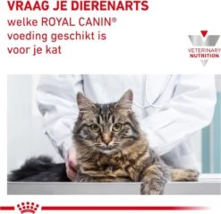 Royal Canin Fibre Response - Kattenvoer - 4 Kg -Kattenbenodigdheden Winkel 1200x1160 3