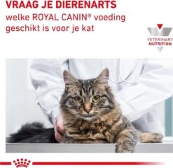 Royal Canin Renal - Kattenvoer - 4 Kg 20 Royal Canin Renal - Kattenvoer - 4 Kg -Kattenbenodigdheden Winkel 1200x1161 10
