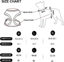 *** Katy`s Kattentuigje Zwart Maat M Met Looplijn - Kleine Hond - Kattenharnas - Honden Harnas - Kattenriem - Uitlaten - Van Heble® *** 10 *** Katy`s Kattentuigje Zwart Maat M Met Looplijn - Kleine Hond - Kattenharnas - Honden Harnas - Kattenriem - Uitlaten - Van Heble® *** -Kattenbenodigdheden Winkel 1200x1162 1