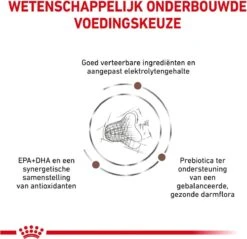Royal Canin Fibre Response - Kattenvoer - 4 Kg -Kattenbenodigdheden Winkel 1200x1162 10