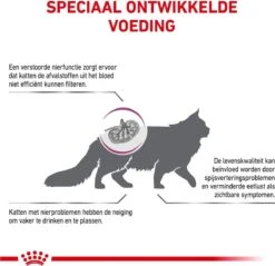 Royal Canin Kat Renal2 Kg 19 Royal Canin Kat Renal2 Kg -Kattenbenodigdheden Winkel 1200x1162 12