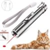Laserpen - USB - Kattenspeeltjes - Zaklamp - Kat - Laser - Kattenspeelgoed - RVS Opbergblikje 2 Laserpen - USB - Kattenspeeltjes - Zaklamp - Kat - Laser - Kattenspeelgoed - RVS Opbergblikje -Kattenbenodigdheden Winkel 1200x1162 2