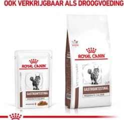 Royal Canin Gastro Intestinal Moderate Calorie Kat 12x85 Gr. -Kattenbenodigdheden Winkel 1200x1162 4