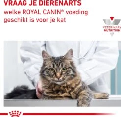 Royal Canin Gastro Intestinal Moderate Calorie Kat 12x85 Gr. -Kattenbenodigdheden Winkel 1200x1162 5