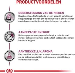 Royal Canin Renal Kip - Kattenvoer - 12 X 85 G -Kattenbenodigdheden Winkel 1200x1162 7
