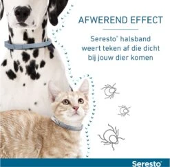 Seresto Teken- En Vlooienband - Anti Tekenmiddel - Kat - 38 Cm 25 Seresto Teken- En Vlooienband - Anti Tekenmiddel - Kat - 38 Cm -Kattenbenodigdheden Winkel 1200x1179