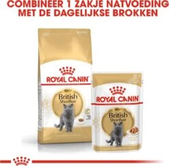 Royal Canin British Shorthair Adult - Kattenvoer - 4 Kg -Kattenbenodigdheden Winkel 1200x1180 14