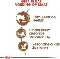 Royal Canin Ageing 12+ - Kattenvoer - 4 Kg -Kattenbenodigdheden Winkel 1200x1182 7