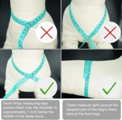 *** Katy`s Kattentuigje Zwart Maat M Met Looplijn - Kleine Hond - Kattenharnas - Honden Harnas - Kattenriem - Uitlaten - Van Heble® *** 11 *** Katy`s Kattentuigje Zwart Maat M Met Looplijn - Kleine Hond - Kattenharnas - Honden Harnas - Kattenriem - Uitlaten - Van Heble® *** -Kattenbenodigdheden Winkel 1200x1186 3