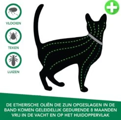 Teken- En Vlooienband Voor Katten PLUS - Natuurlijk Middel Tegen Vlooien En Teken - 100% Natuurlijk - 38,5 CM - Tot 8 Maand Werkzaam - Biologisch 10 Teken- En Vlooienband Voor Katten PLUS - Natuurlijk Middel Tegen Vlooien En Teken - 100% Natuurlijk - 38,5 CM - Tot 8 Maand Werkzaam - Biologisch -Kattenbenodigdheden Winkel 1200x1188
