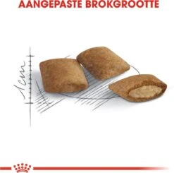 Royal Canin Ageing 12+ - Kattenvoer - 4 Kg -Kattenbenodigdheden Winkel 1200x1188 6