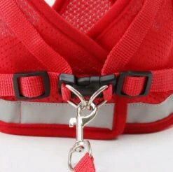 Merkloos Verstelbaar Kattentuigje Reflecterend - Kattenharnas - Kattentuig Met Looplijn - Rood - Maat S -Kattenbenodigdheden Winkel 1200x1194 3