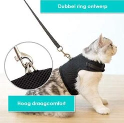 Zootic Kattentuigje Met Leiband Riem Kattenharnas Zwart Maat M Kat & Kitten - Halsomvang 20 Tot 26cm - Borstomvang 30 Tot 34cm -Kattenbenodigdheden Winkel 1200x1195 4
