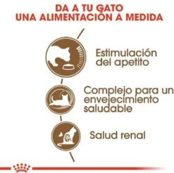 Royal Canin Ageing 12+ - Kattenvoer - 4 Kg -Kattenbenodigdheden Winkel 1200x1195 8