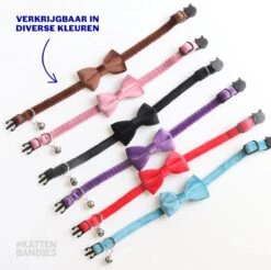Kattenhalsband Velvet Met Strik | Halsband Kat | Kattenband Velours | Kattenbandje Velvet Met Strik, Veiligheidssluiting En Belletje In Roze 10 Kattenhalsband Velvet Met Strik | Halsband Kat | Kattenband Velours | Kattenbandje Velvet Met Strik, Veiligheidssluiting En Belletje In Roze -Kattenbenodigdheden Winkel 1200x1197 11