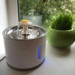 Merkloos Drinkfontein Voor Hond En Kat - RVS Waterbak - Dieren Drinkbak - Vers Water Fontein - Drinkfontein Katten- 3 Standen - 2.4 Liter - Incl. 1 Koolstoffilter -Kattenbenodigdheden Winkel 1200x1200 105