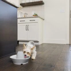 PetSafe® Streamside Ceramic Pet Fountain - Keramische Drinkfontein Voor Katten En Kleine Honden - Water Borrelt Zacht Over De Toren - Door Het Design Van Alle Kanten Bereikbaar - 1,8 Liter - PetSafe Streamside -Kattenbenodigdheden Winkel 1200x1200 109