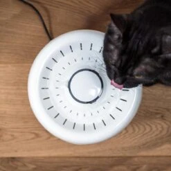 TrevoPet® Drinkfontein Kat - Waterfontein Kat - Kattenfontein - Fluisterstil - Drinkfontein - Drinkbak Kat - 2.5 Liter - Inclusief Filter - Wit -Kattenbenodigdheden Winkel 1200x1200 117