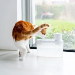 Hoopo® Agua - DRAADLOZE Waterfontein Katten - SMART Waterfontein Katten - UVC Disinfectie - 2 Liter - Automatische Katten Fontein -Kattenbenodigdheden Winkel 1200x1200 120
