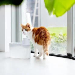Hoopo® Agua - DRAADLOZE Waterfontein Katten - SMART Waterfontein Katten - UVC Disinfectie - 2 Liter - Automatische Katten Fontein -Kattenbenodigdheden Winkel 1200x1200 121