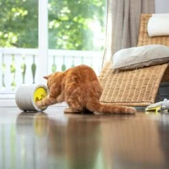 BeOneBreed Intellikatt - Slowfeeder Voor Katten - Voerpuzzel Aanbevolen Door Dierenartsen En Kattengedragsdeskundigen 14 BeOneBreed Intellikatt - Slowfeeder Voor Katten - Voerpuzzel Aanbevolen Door Dierenartsen En Kattengedragsdeskundigen -Kattenbenodigdheden Winkel 1200x1200 127