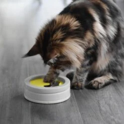 BeOneBreed Intellikatt - Slowfeeder Voor Katten - Voerpuzzel Aanbevolen Door Dierenartsen En Kattengedragsdeskundigen 16 BeOneBreed Intellikatt - Slowfeeder Voor Katten - Voerpuzzel Aanbevolen Door Dierenartsen En Kattengedragsdeskundigen -Kattenbenodigdheden Winkel 1200x1200 129